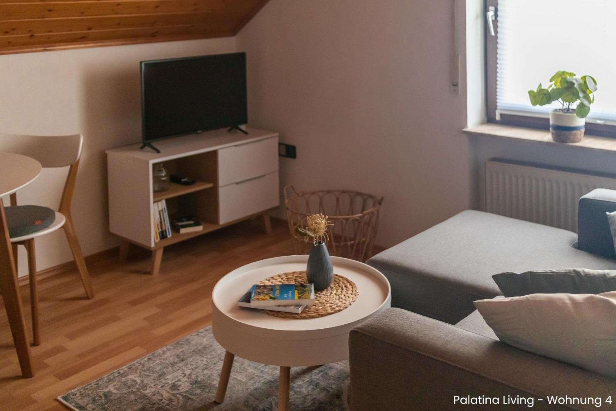 Palatina Living Apartment Fischbach bei Dahn Exterior photo