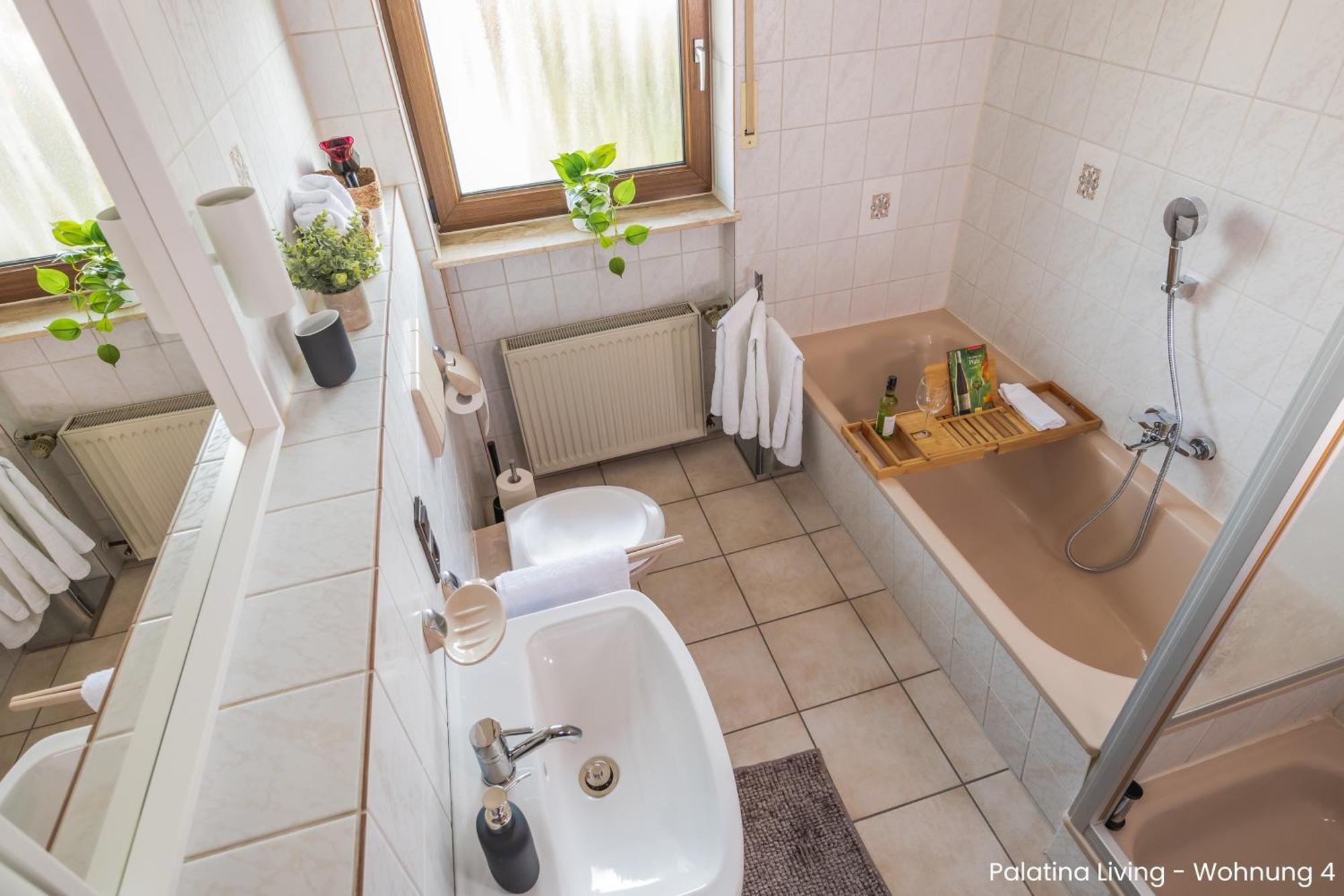 Palatina Living Apartment Fischbach bei Dahn Exterior photo