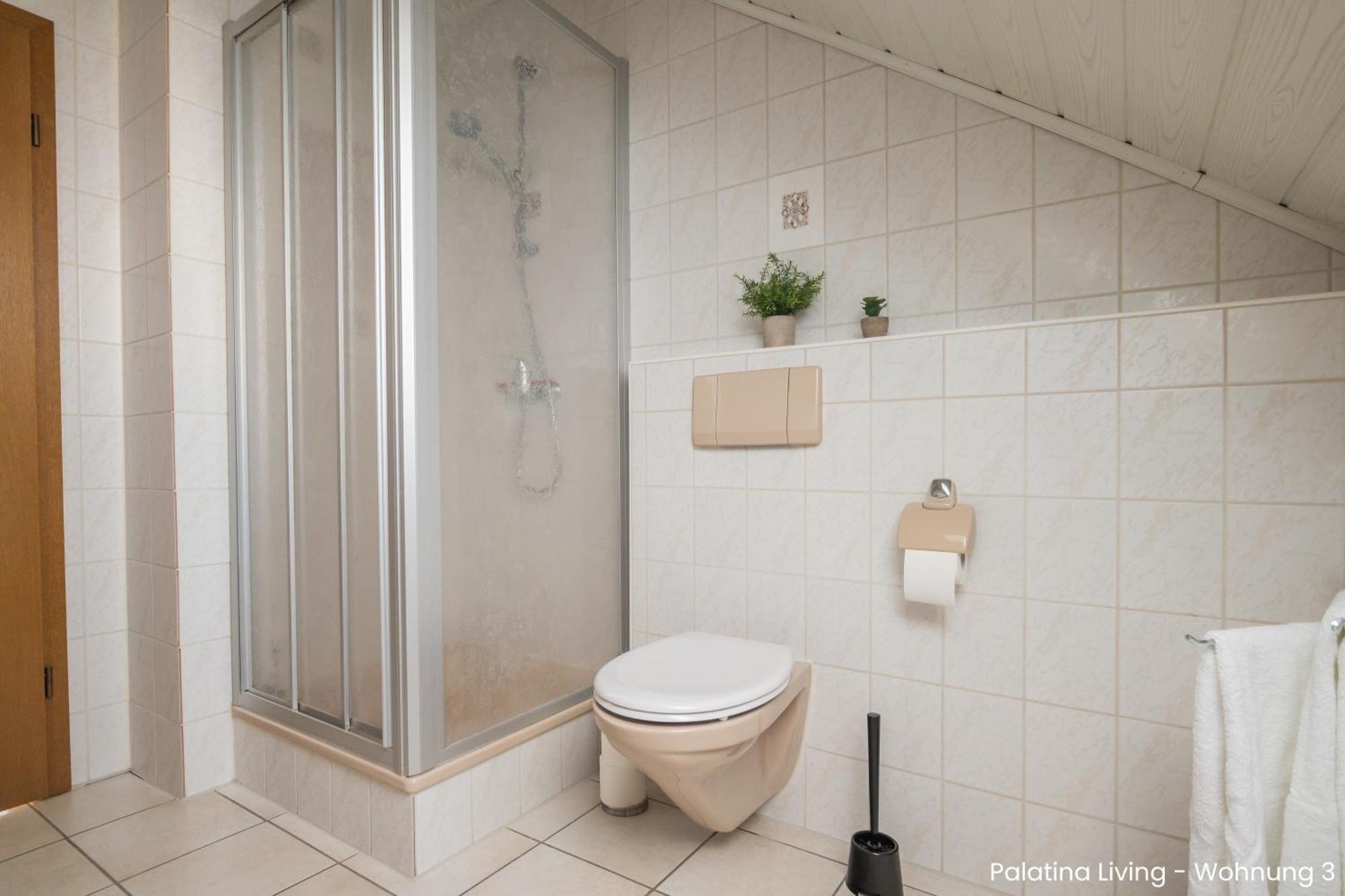 Palatina Living Apartment Fischbach bei Dahn Exterior photo