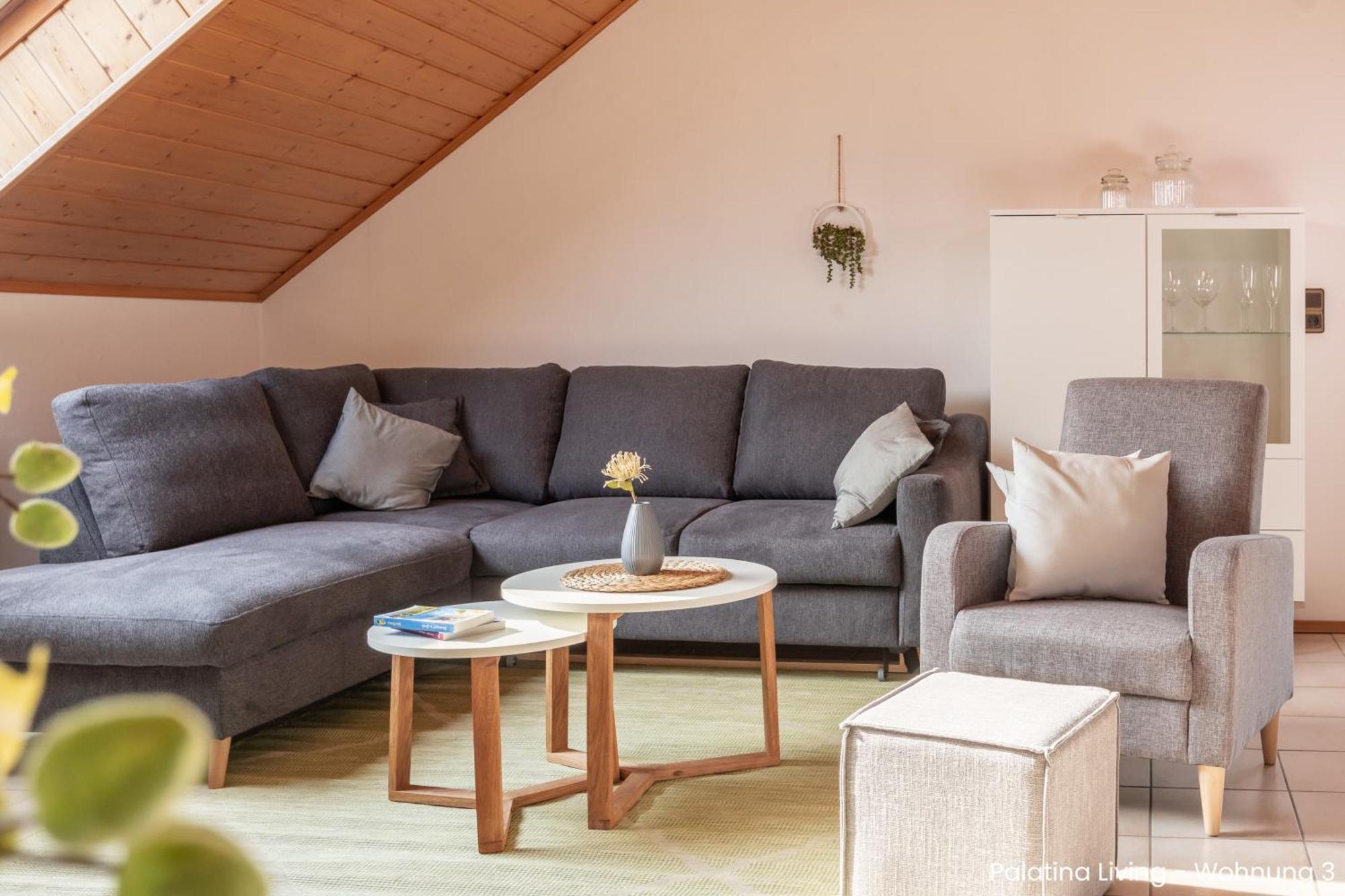 Palatina Living Apartment Fischbach bei Dahn Exterior photo