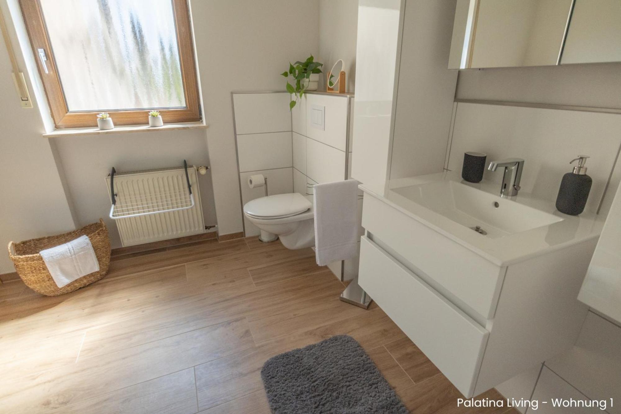 Palatina Living Apartment Fischbach bei Dahn Exterior photo