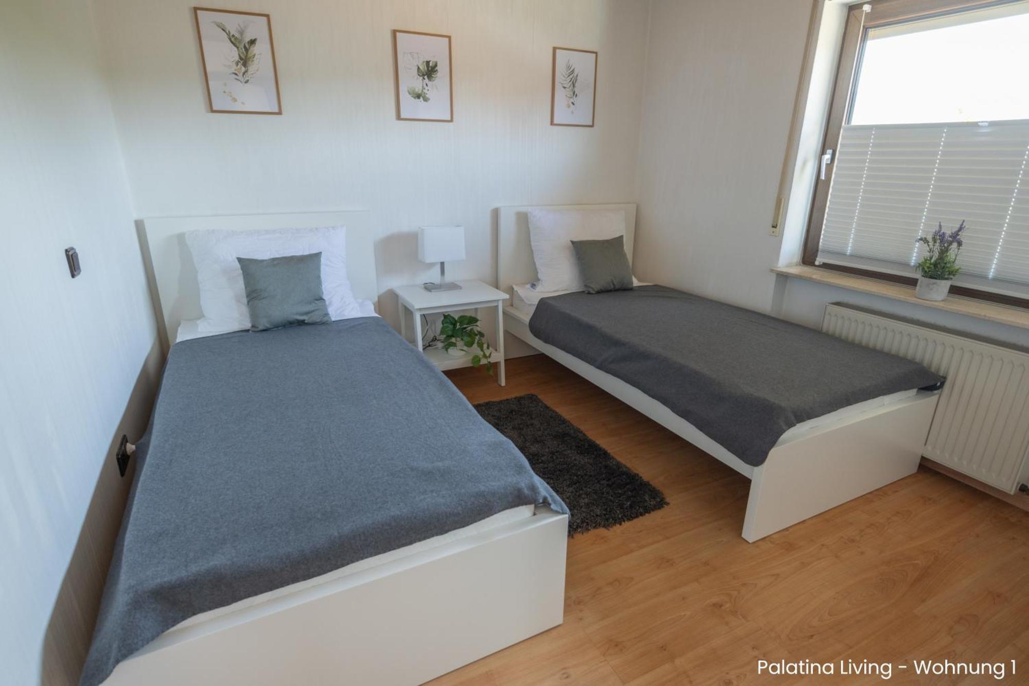Palatina Living Apartment Fischbach bei Dahn Exterior photo